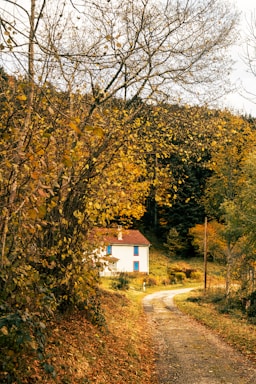 vigilance domicile