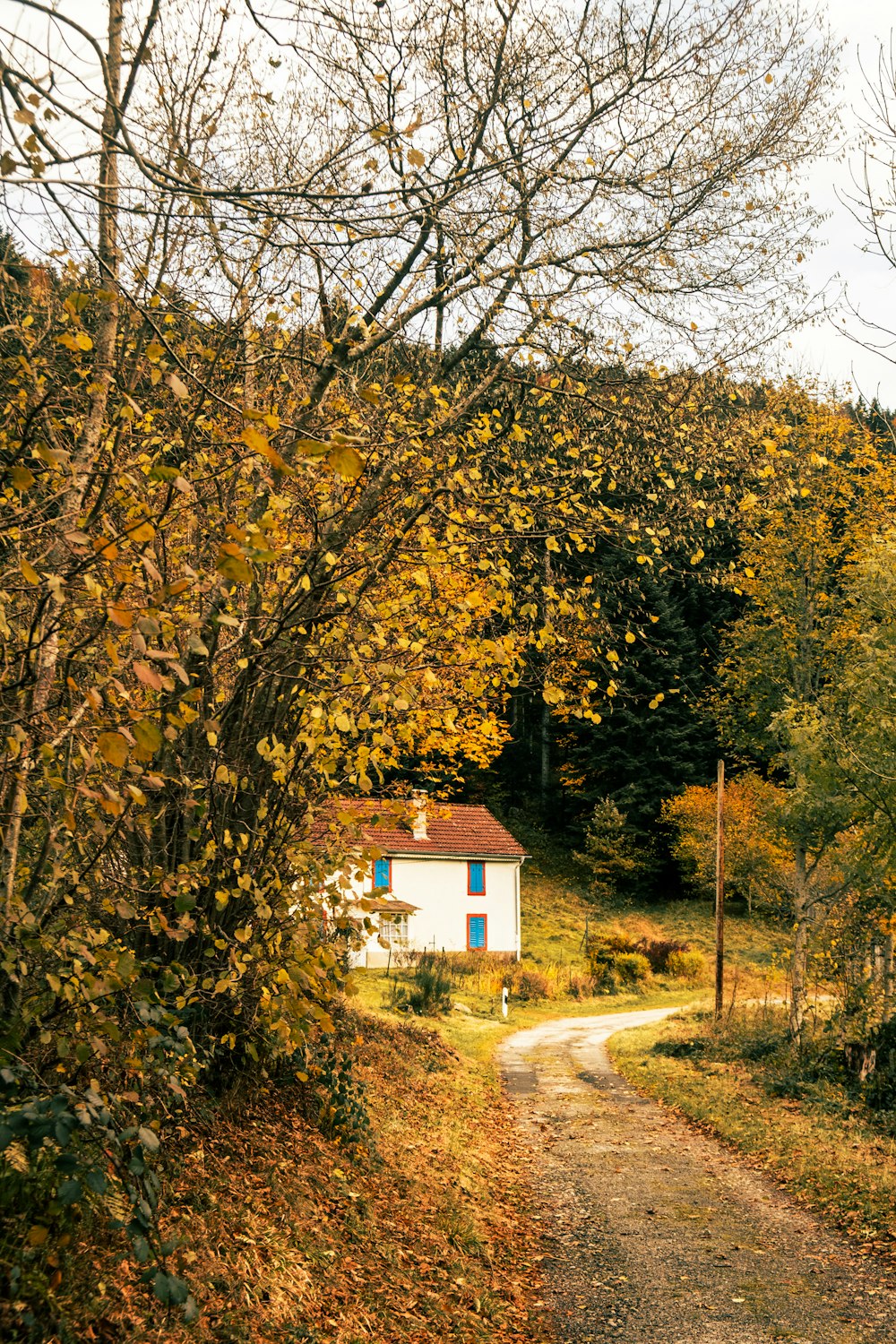 a dirt road leading to a small white house