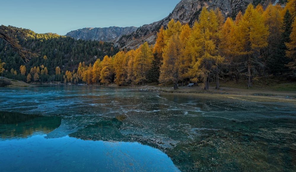 a body of water surrounded by mountains and trees