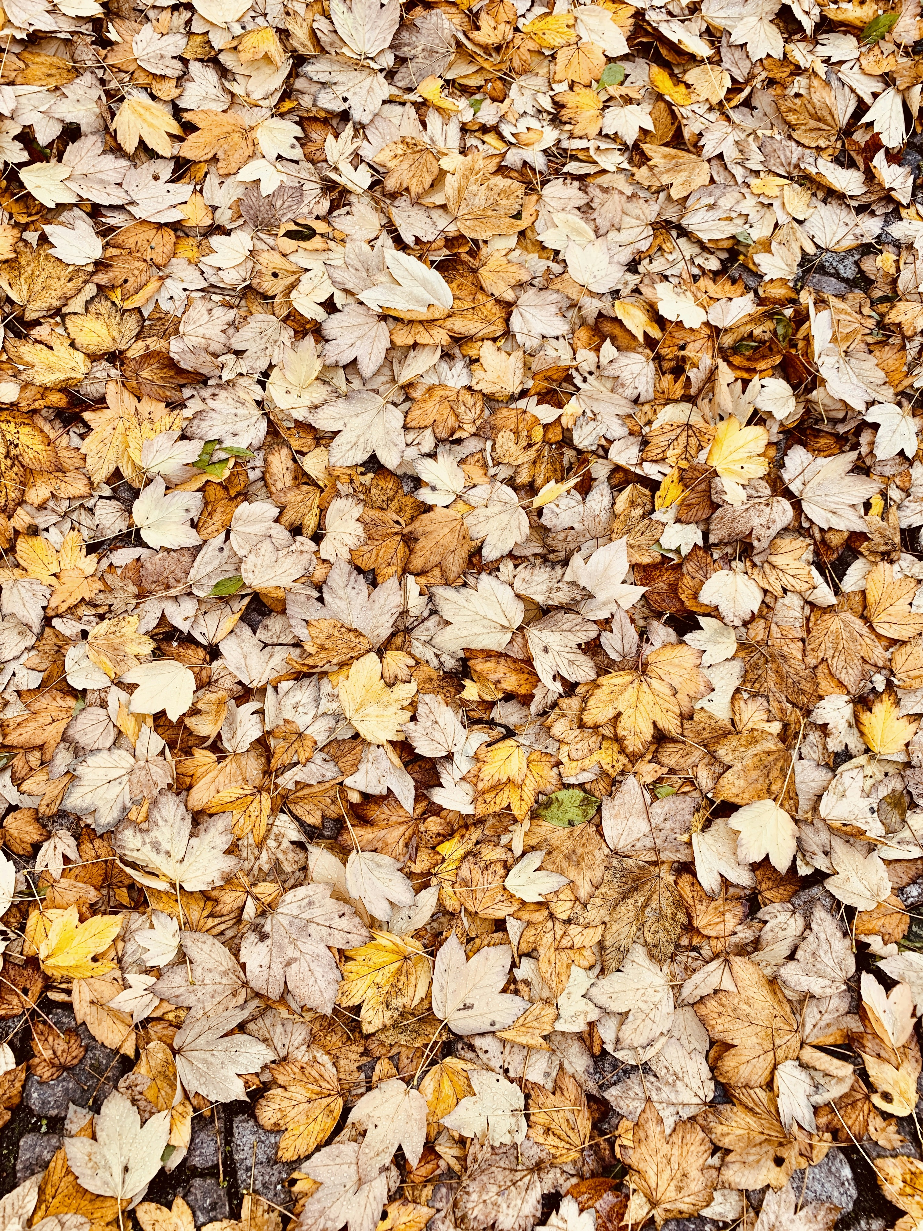 Photo by annie_kramer74