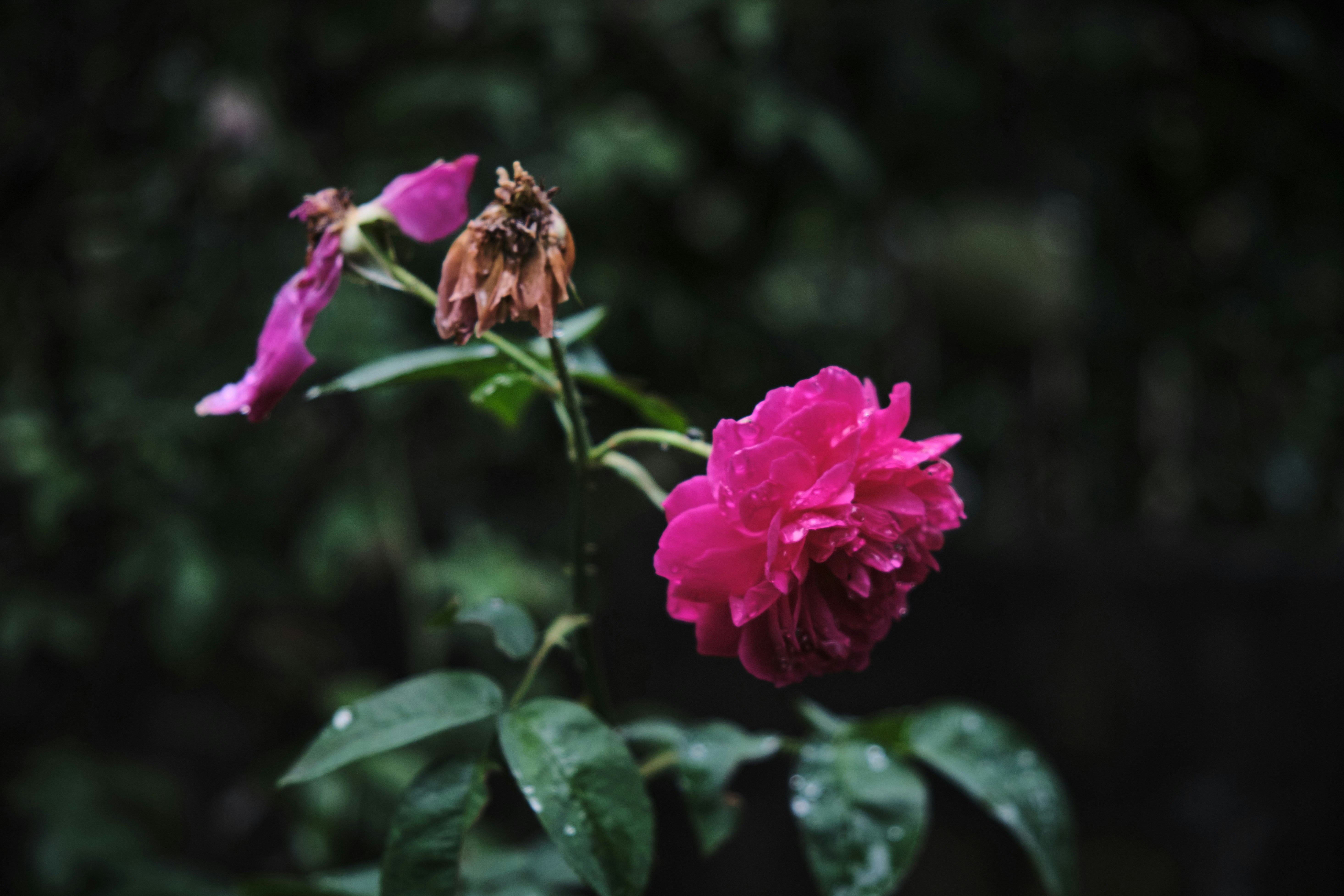 Photo by manhterry93