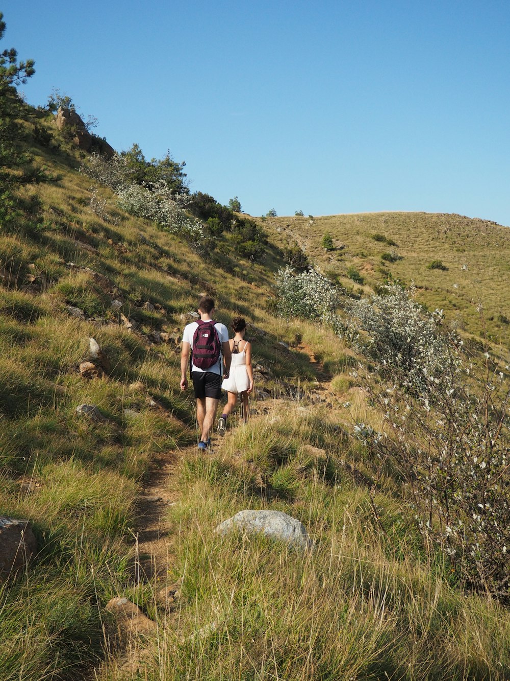 a couple of people that are walking up a hill