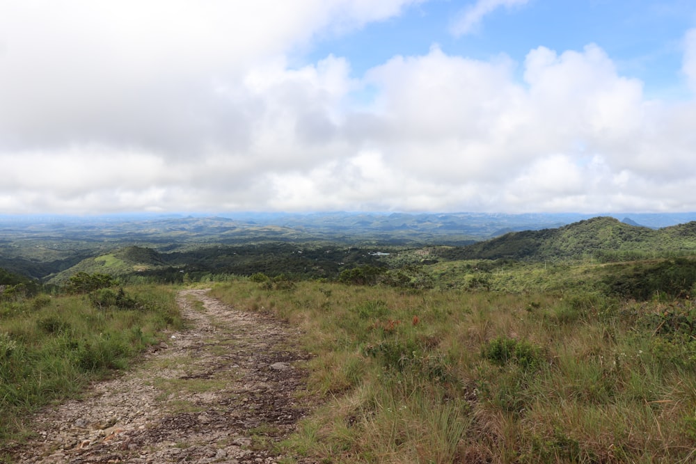 a dirt road in the middle of a grassy field