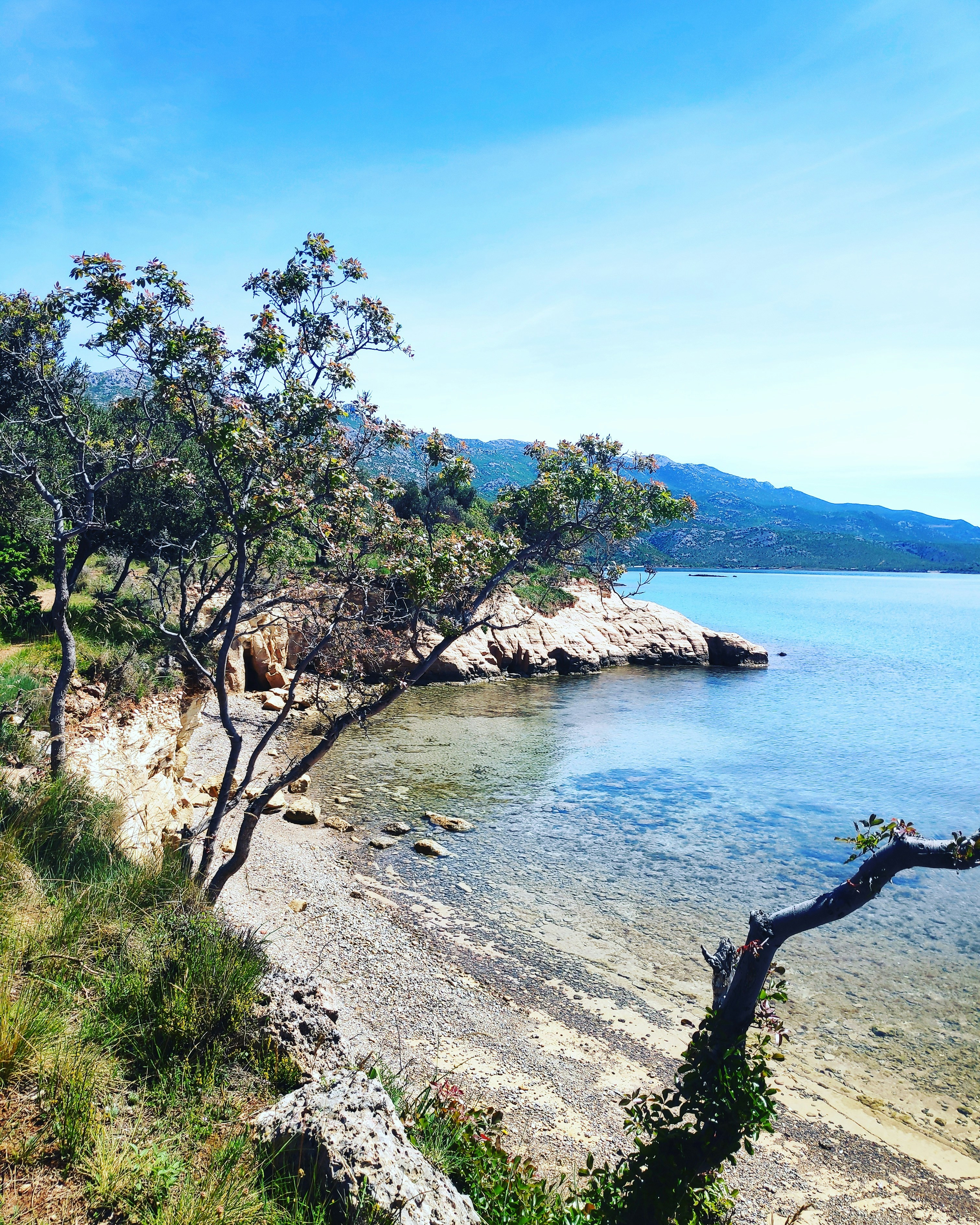 Photo by kristina001