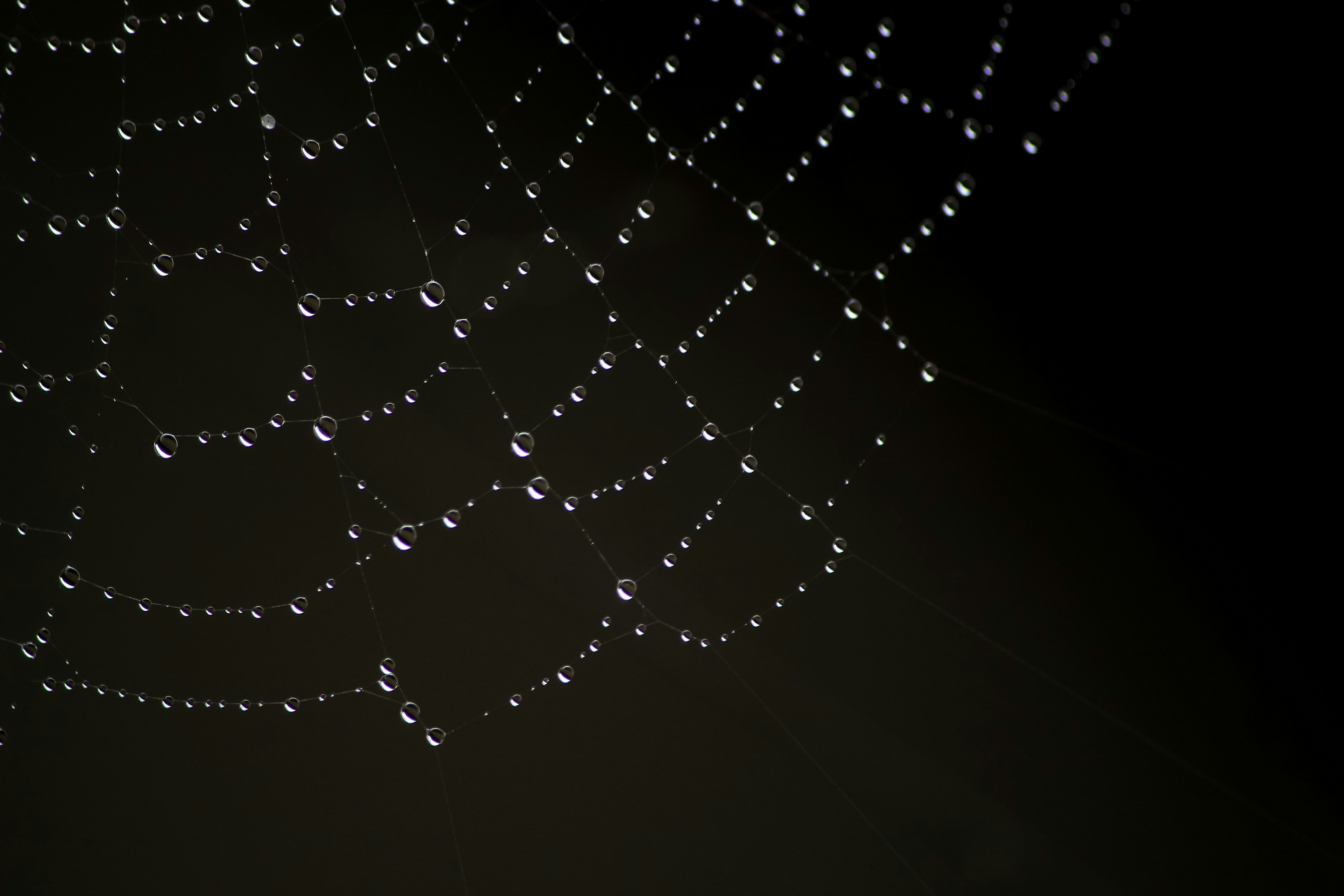 חמישים דקות / גיא עינת