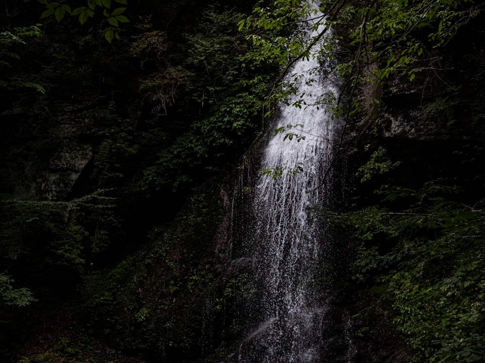 a large waterfall in the middle of a forest