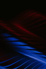 Abstract visual of sound waves merging with colorful light patterns.
