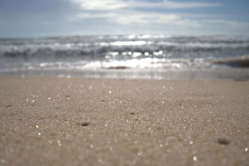 a close up of a sandy beach with the ocean in the background
