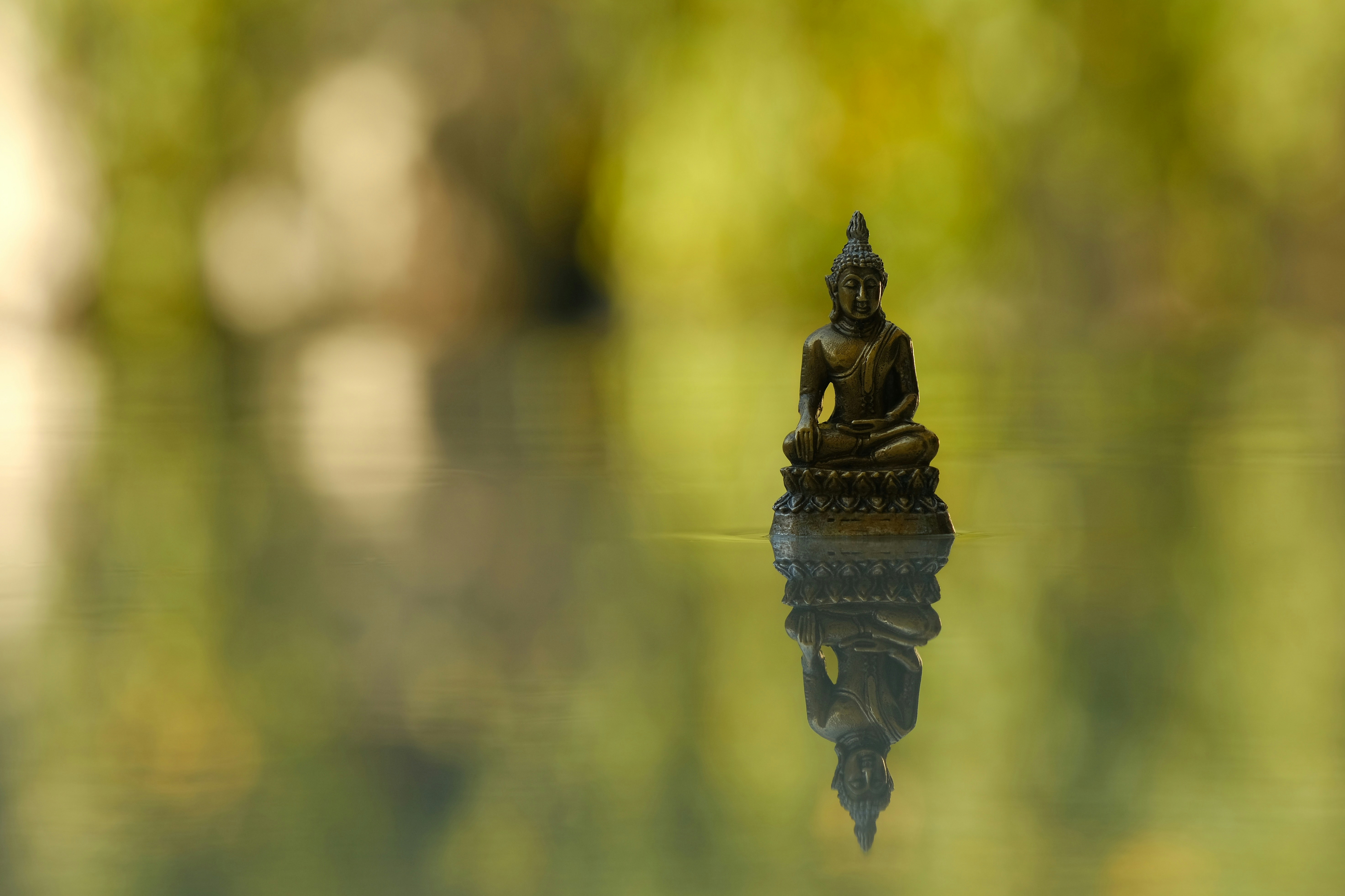 Buddha statue on water