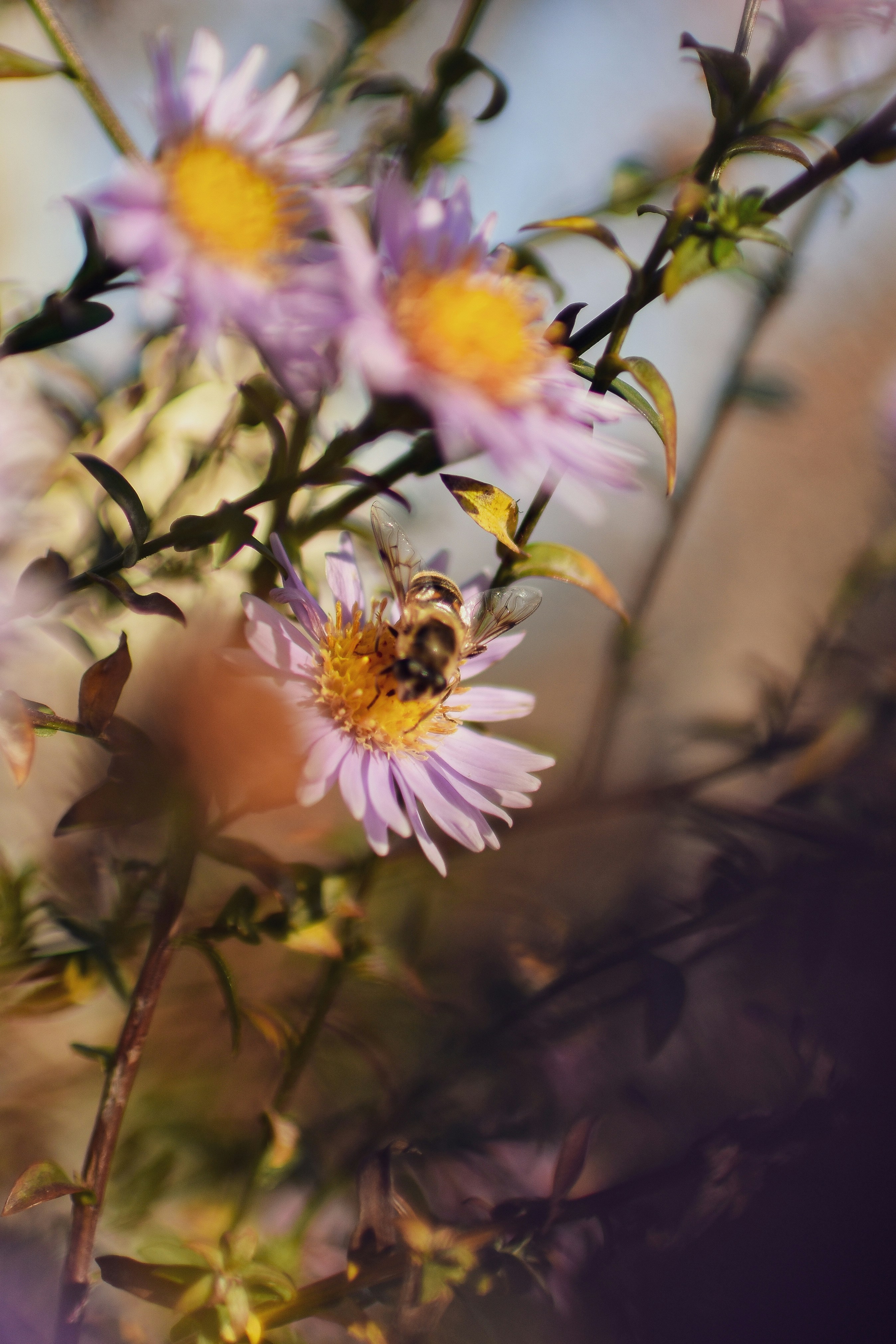 Photo by artem_makarov