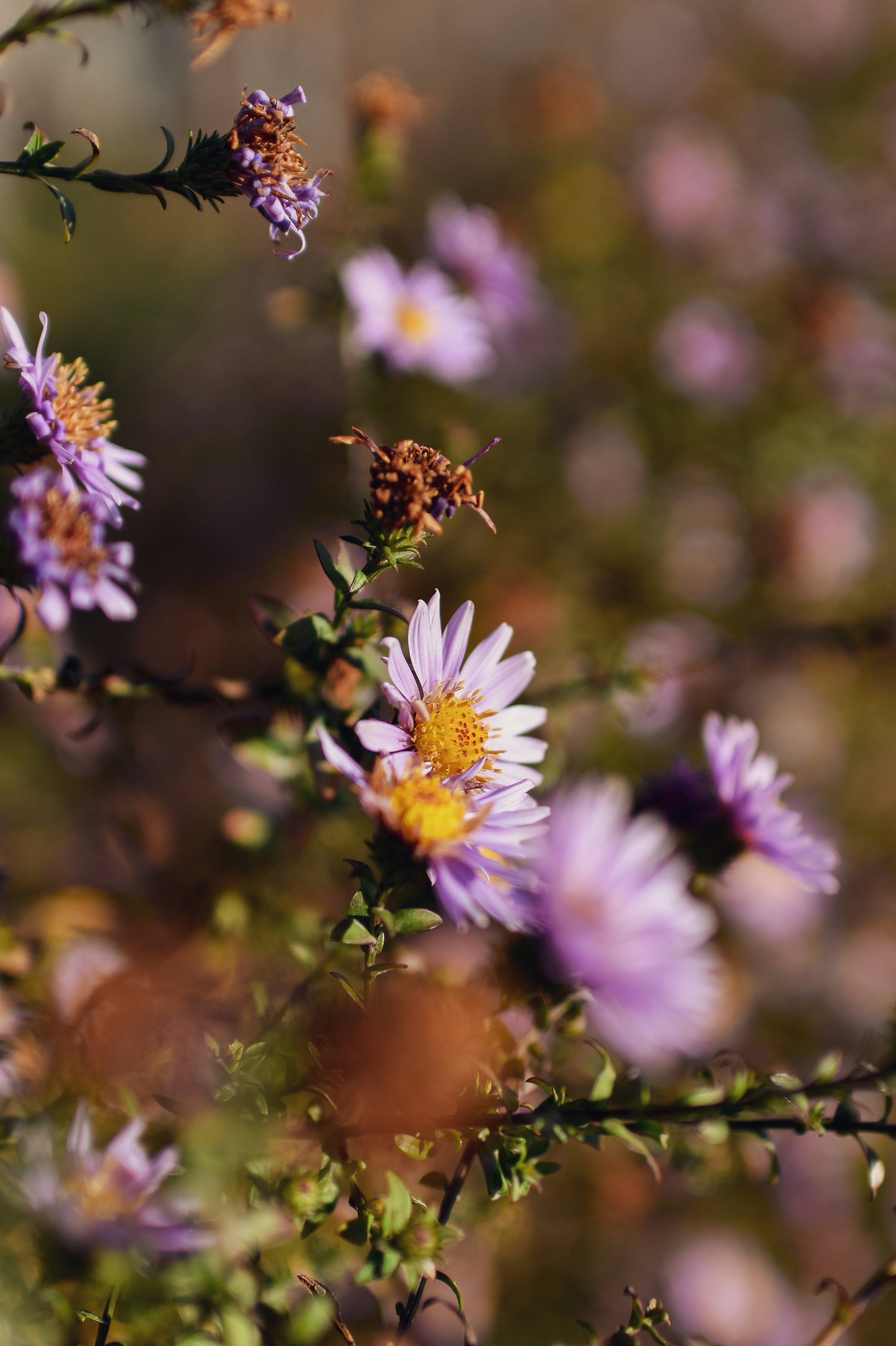 Photo by artem_makarov