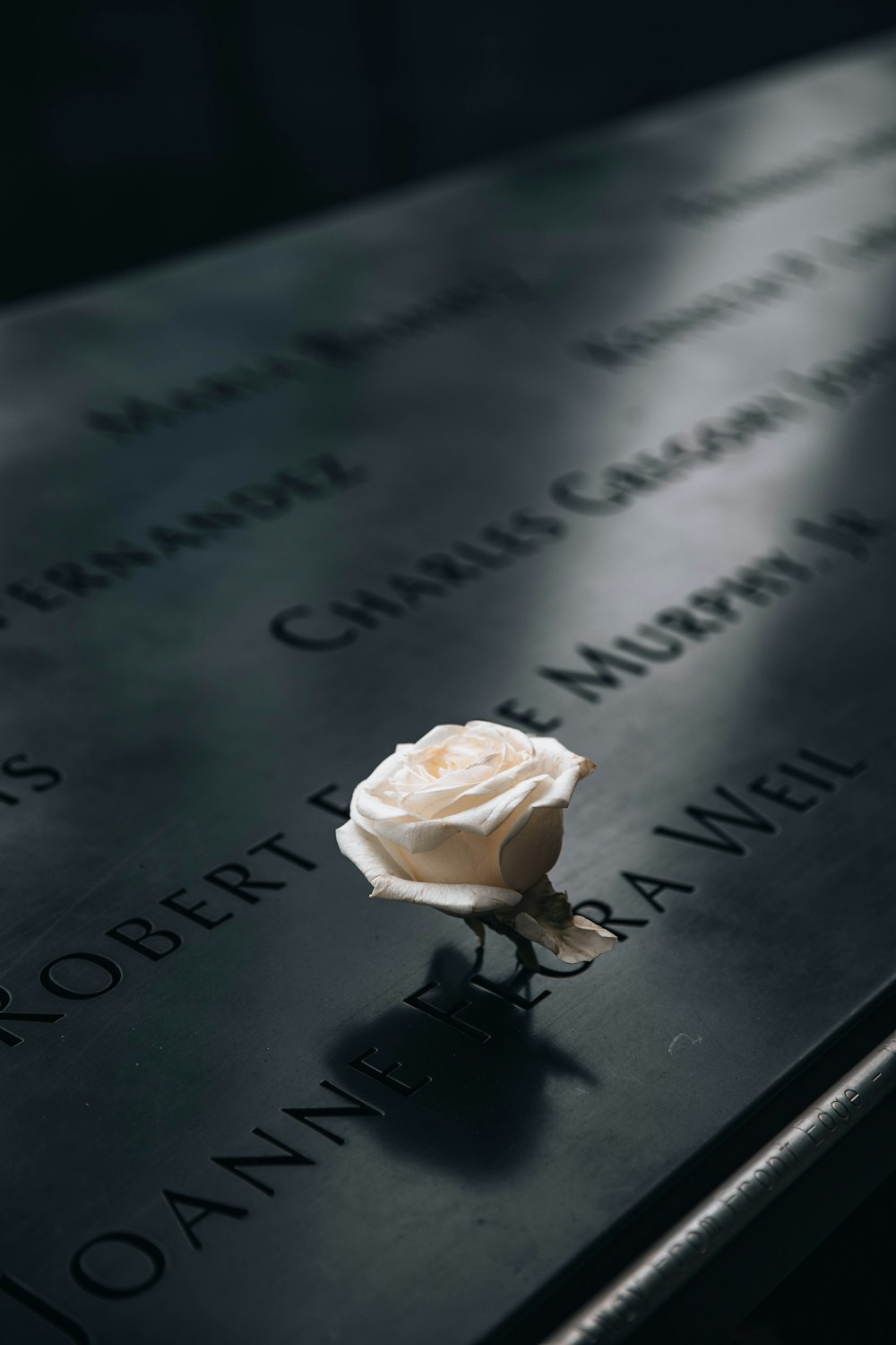 a white rose is placed on a memorial