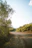 A peaceful dirt road leading to a flat chacara with lush trees and golden sunlight.
