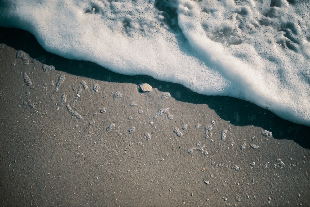 a wave rolls in on a sandy beach