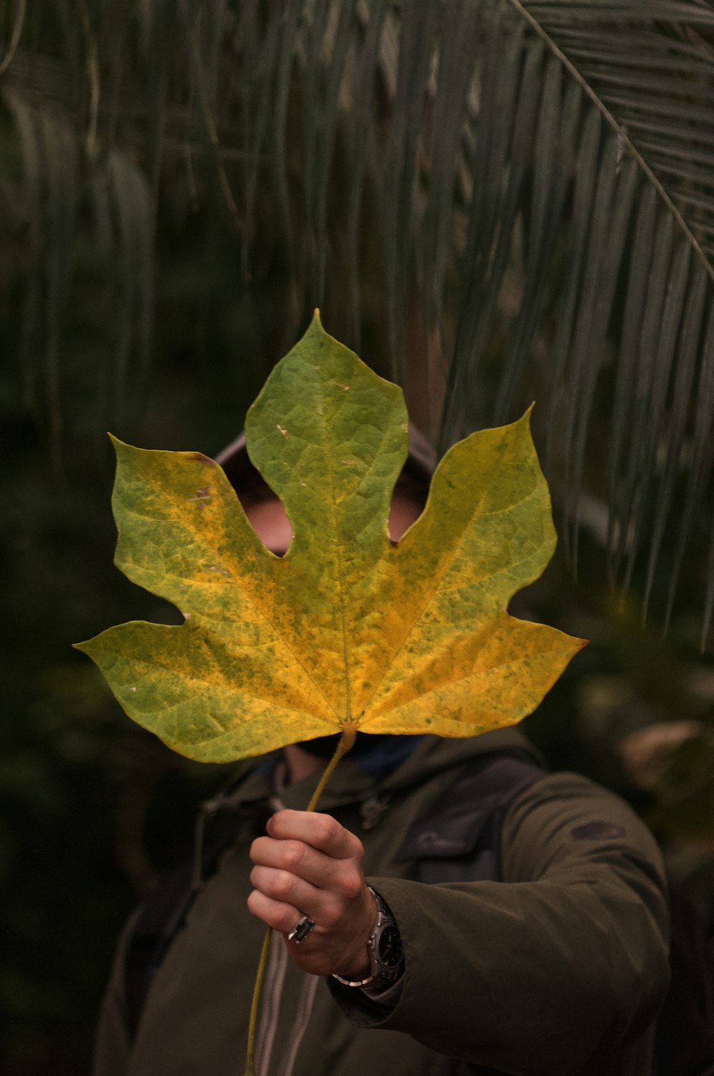 a man holding a leaf in front of his face