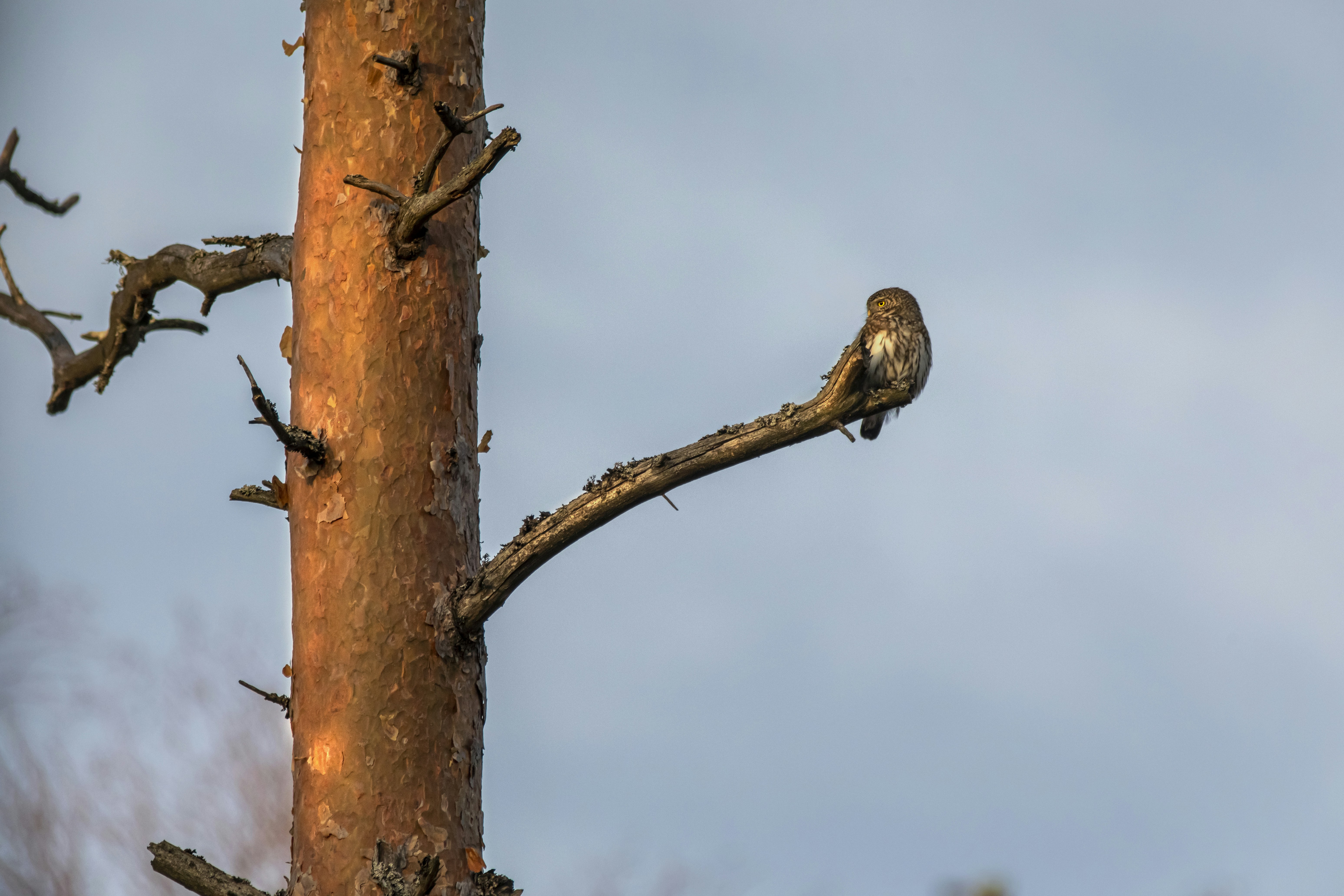 Photo by erik_karits