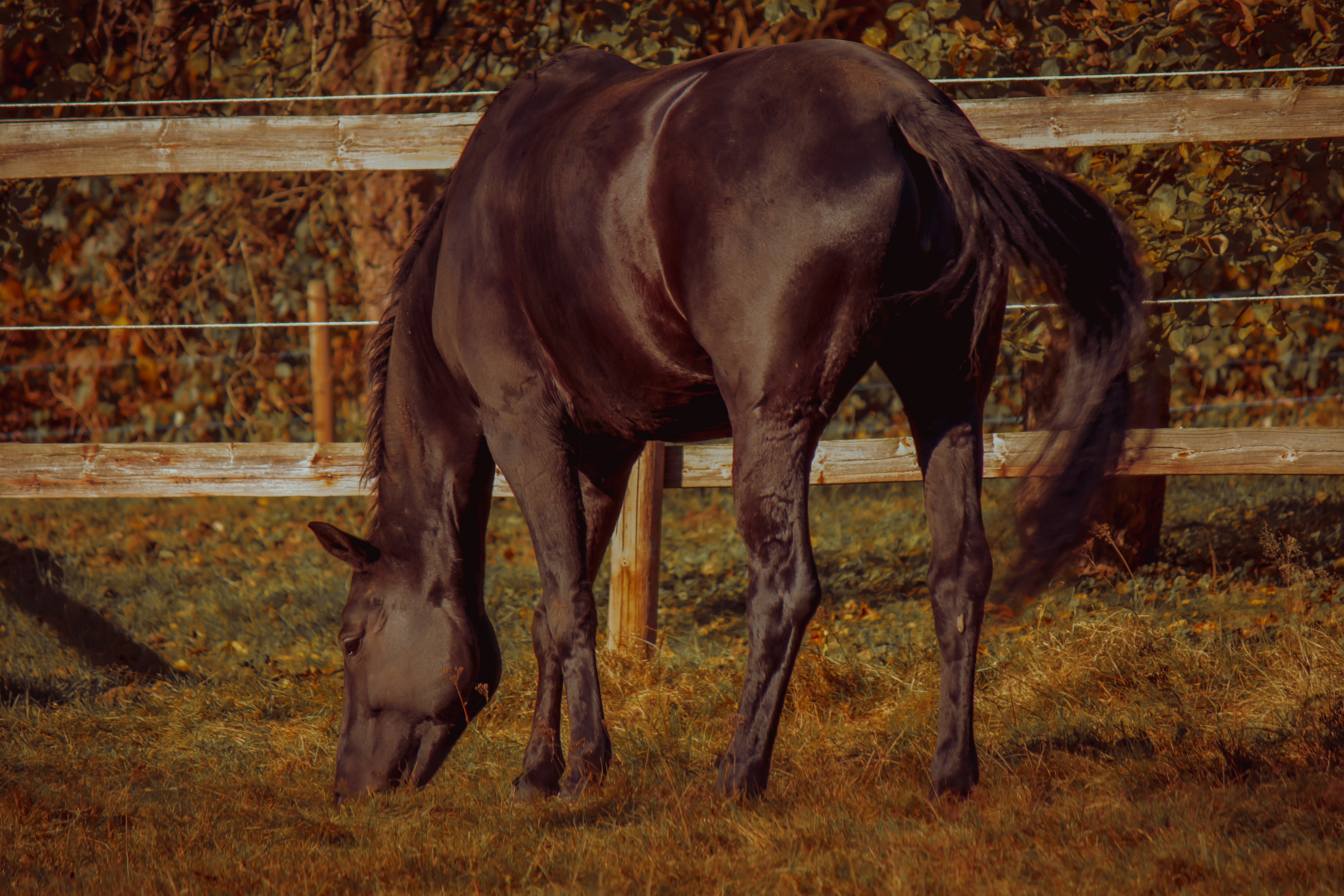 Photo by elisamoldovan