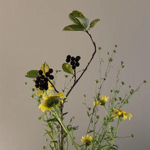 Elegant arrangement of wildflowers in muted tones with a hint of burgundy and green