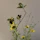 An artistic arrangement of wildflowers in terracotta and olive green tones on a sandy beige background.