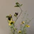 An artistic arrangement of wildflowers in terracotta and olive green tones on a sandy beige background.