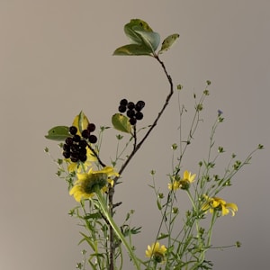 Fiori Selvatici