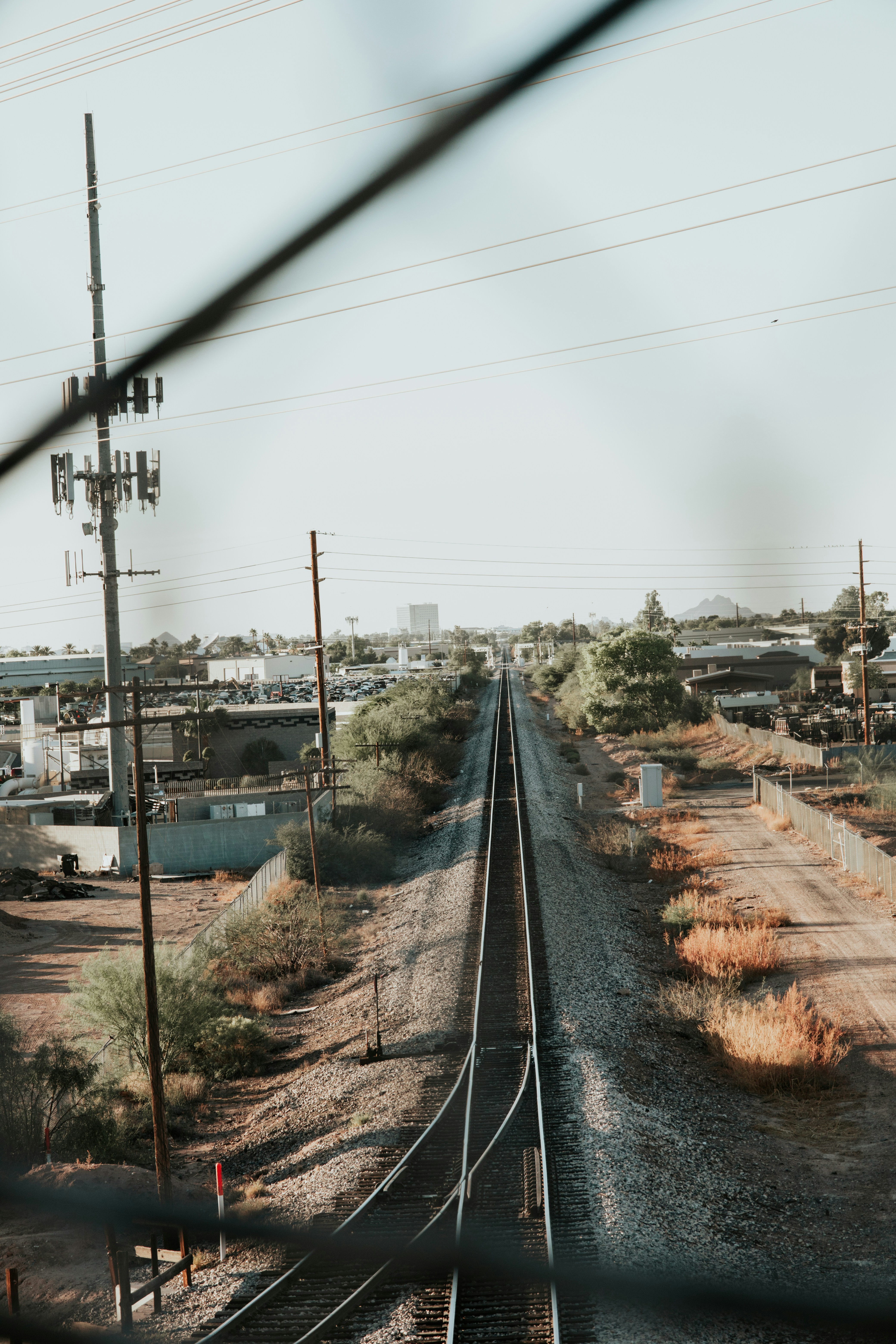 Photo by jeffersonsees