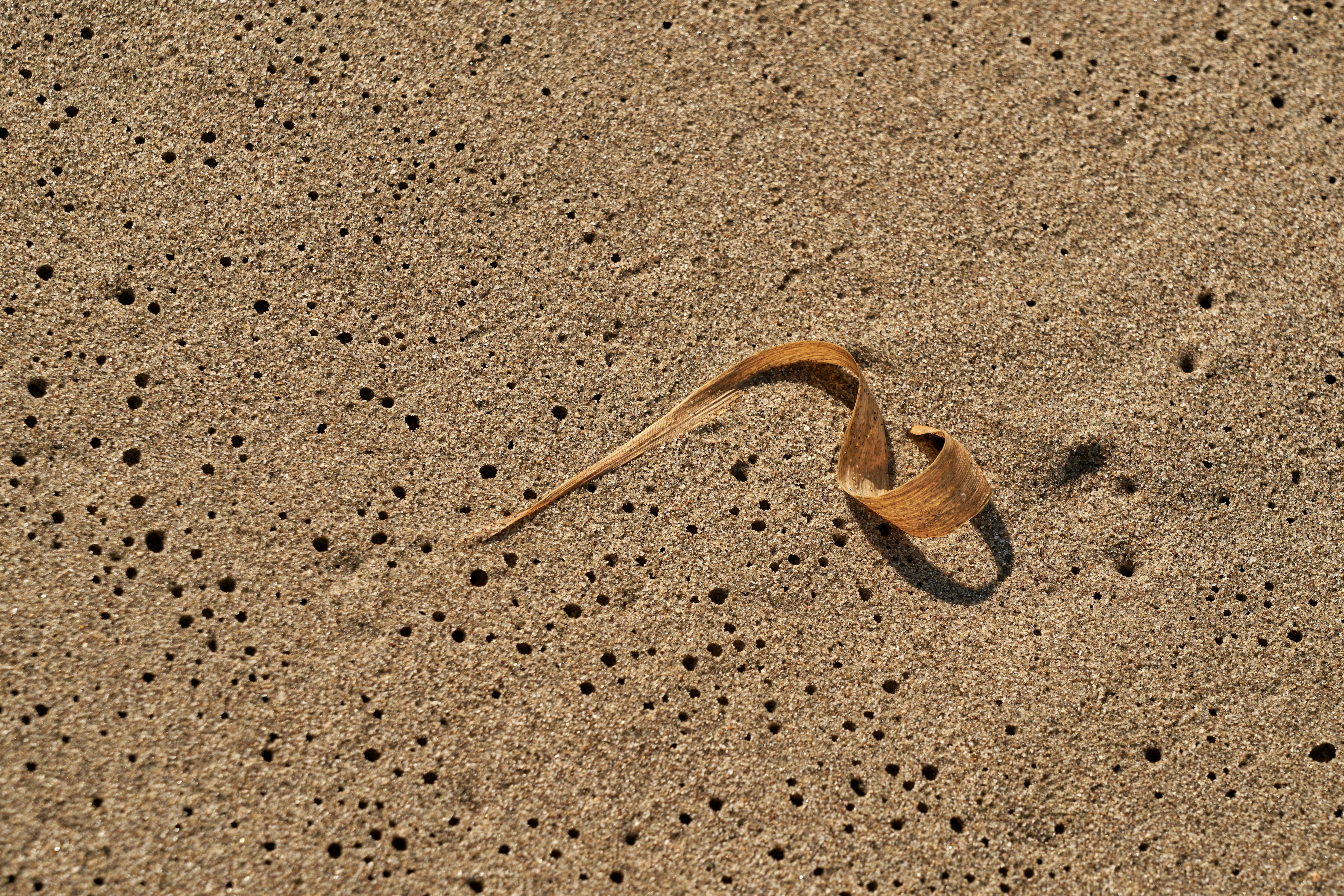 Photo by wolfgang_hasselmann