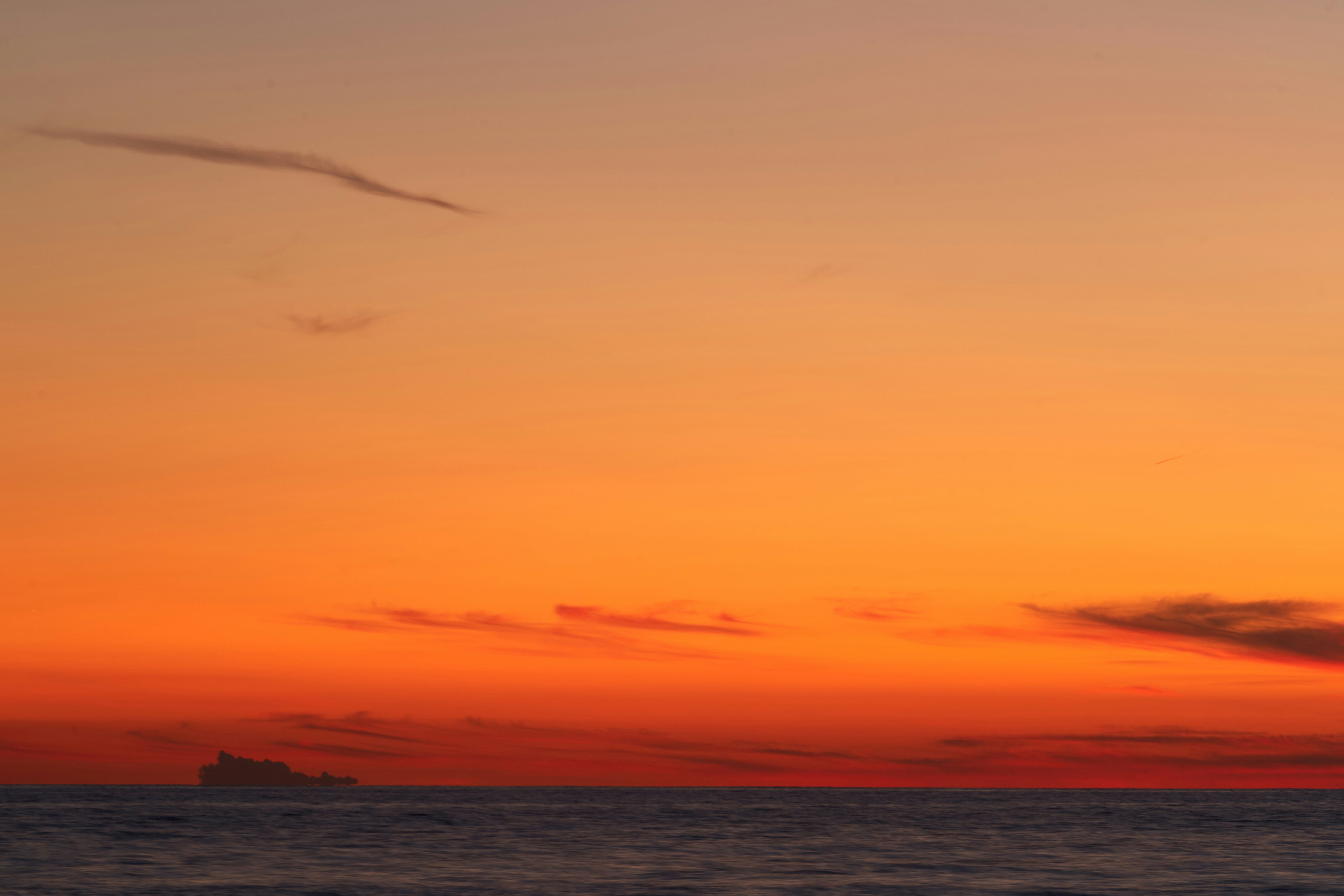 Photo by wolfgang_hasselmann