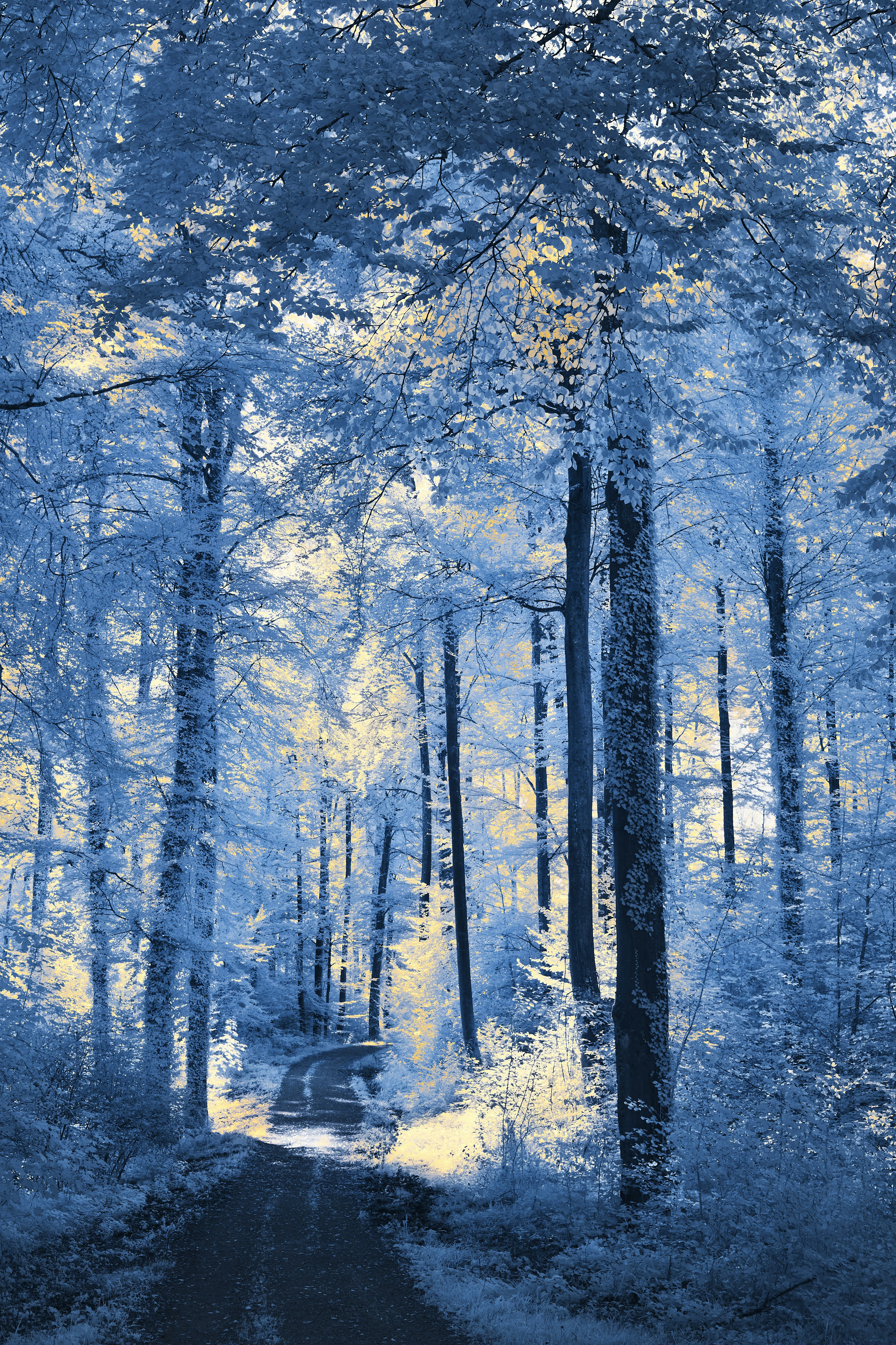 Photo by wolfgang_hasselmann