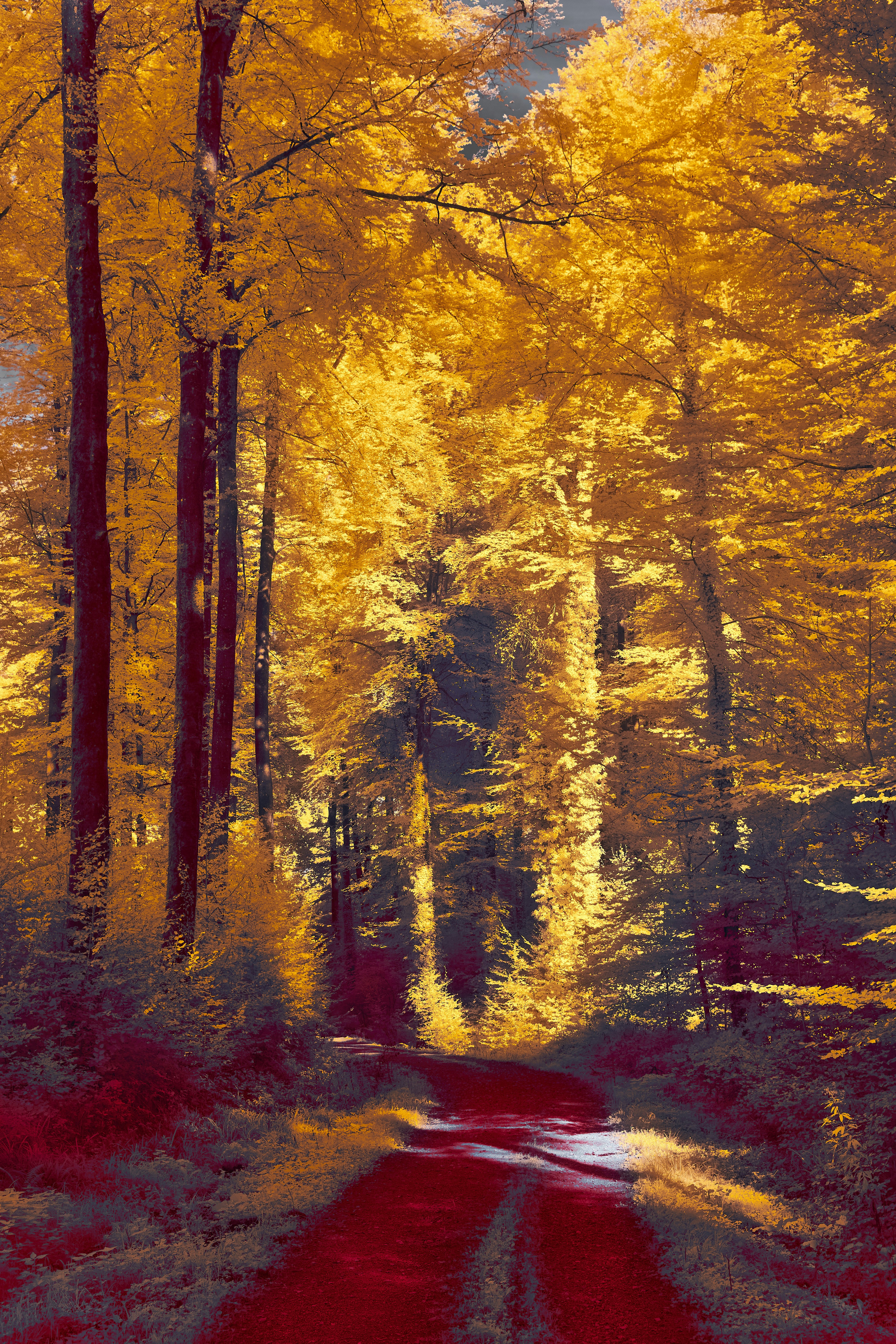 Photo by wolfgang_hasselmann