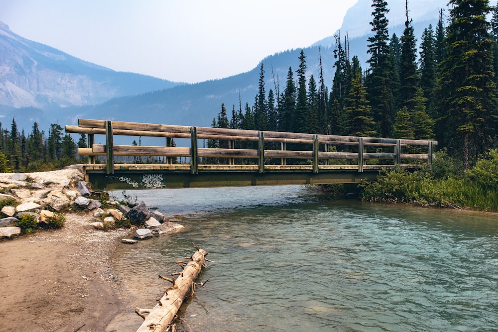 a wooden bridge over a river surrounded by trees