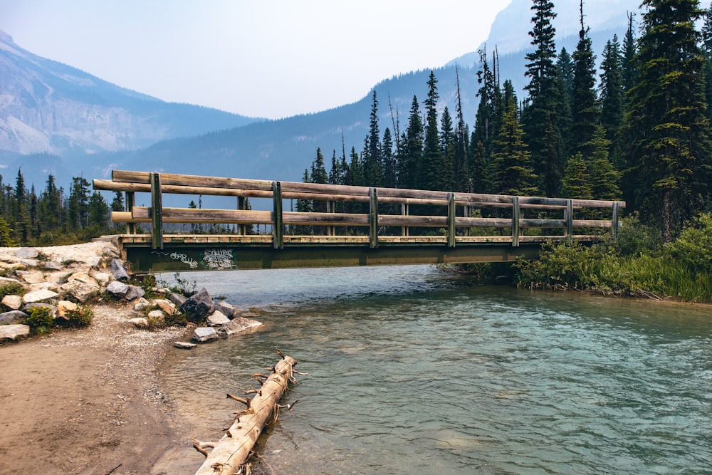 uma ponte de madeira sobre um rio cercado por árvores