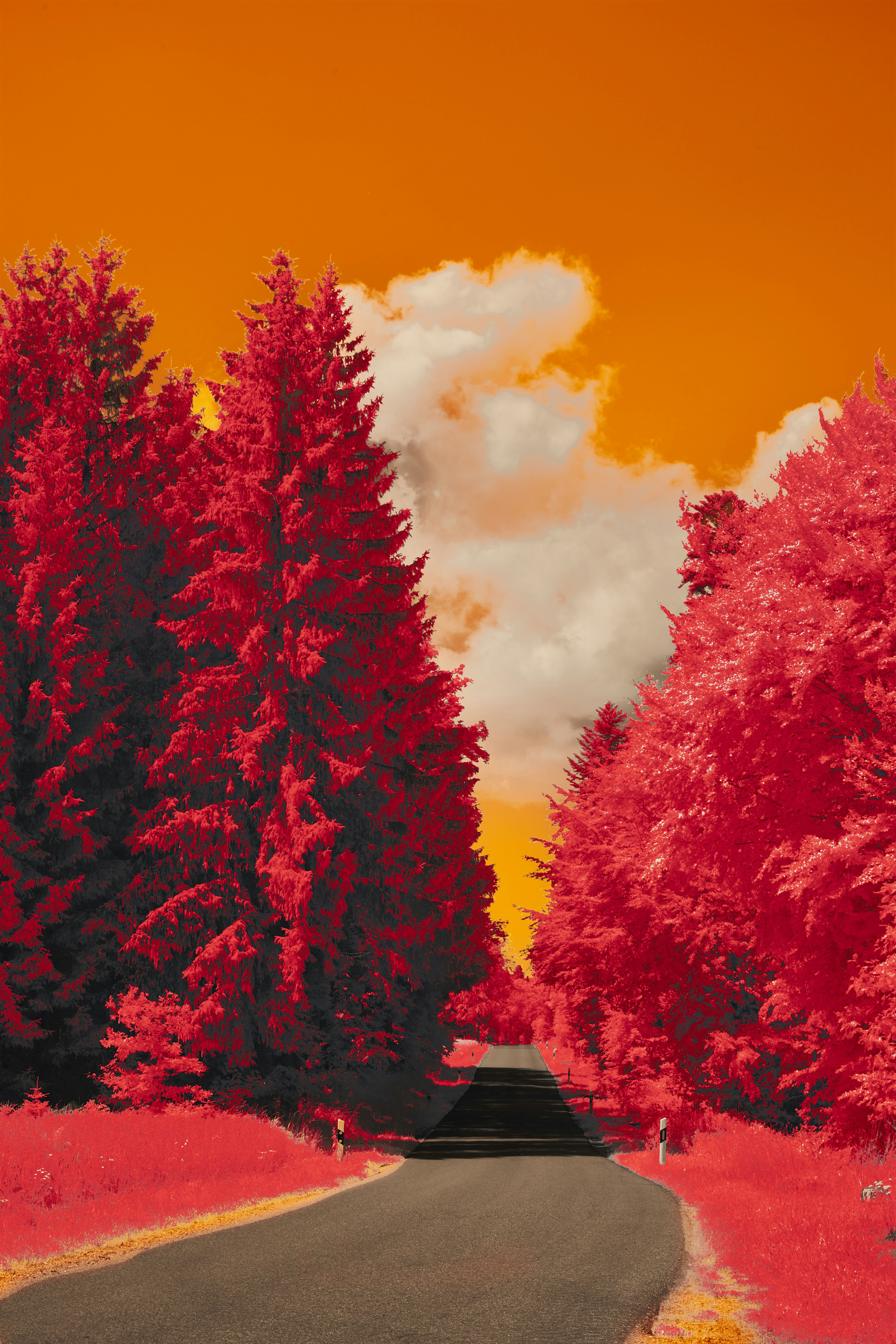 Photo by wolfgang_hasselmann