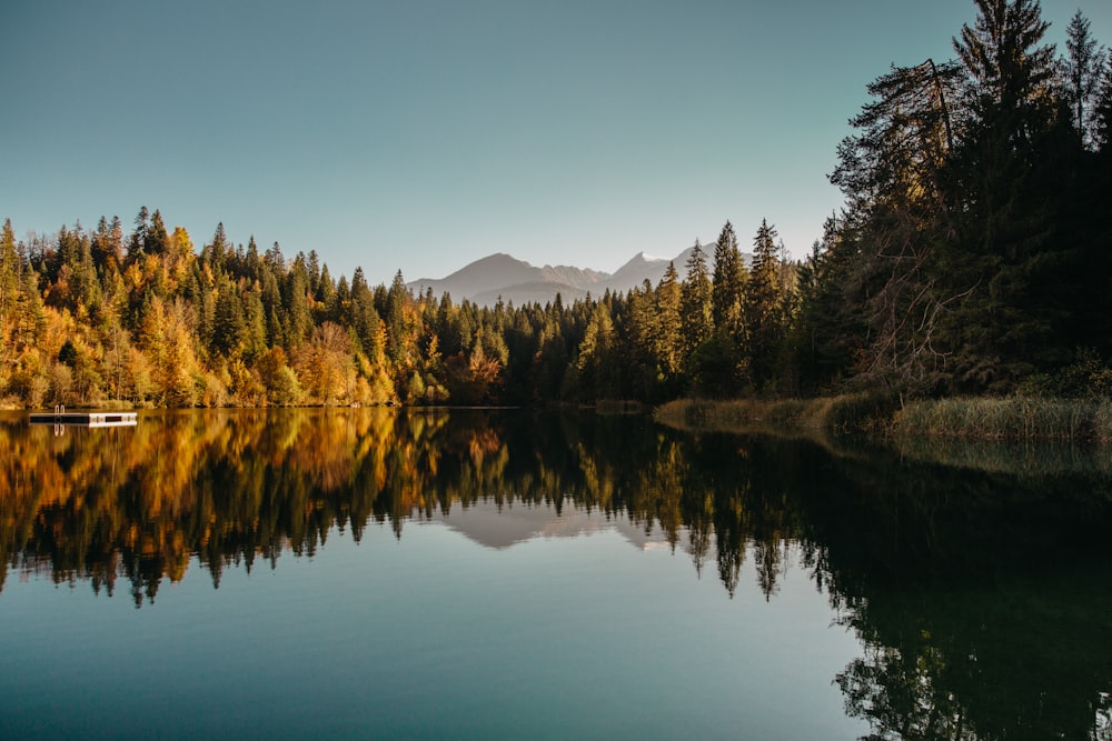 a lake surrounded by trees with a mountain in the background