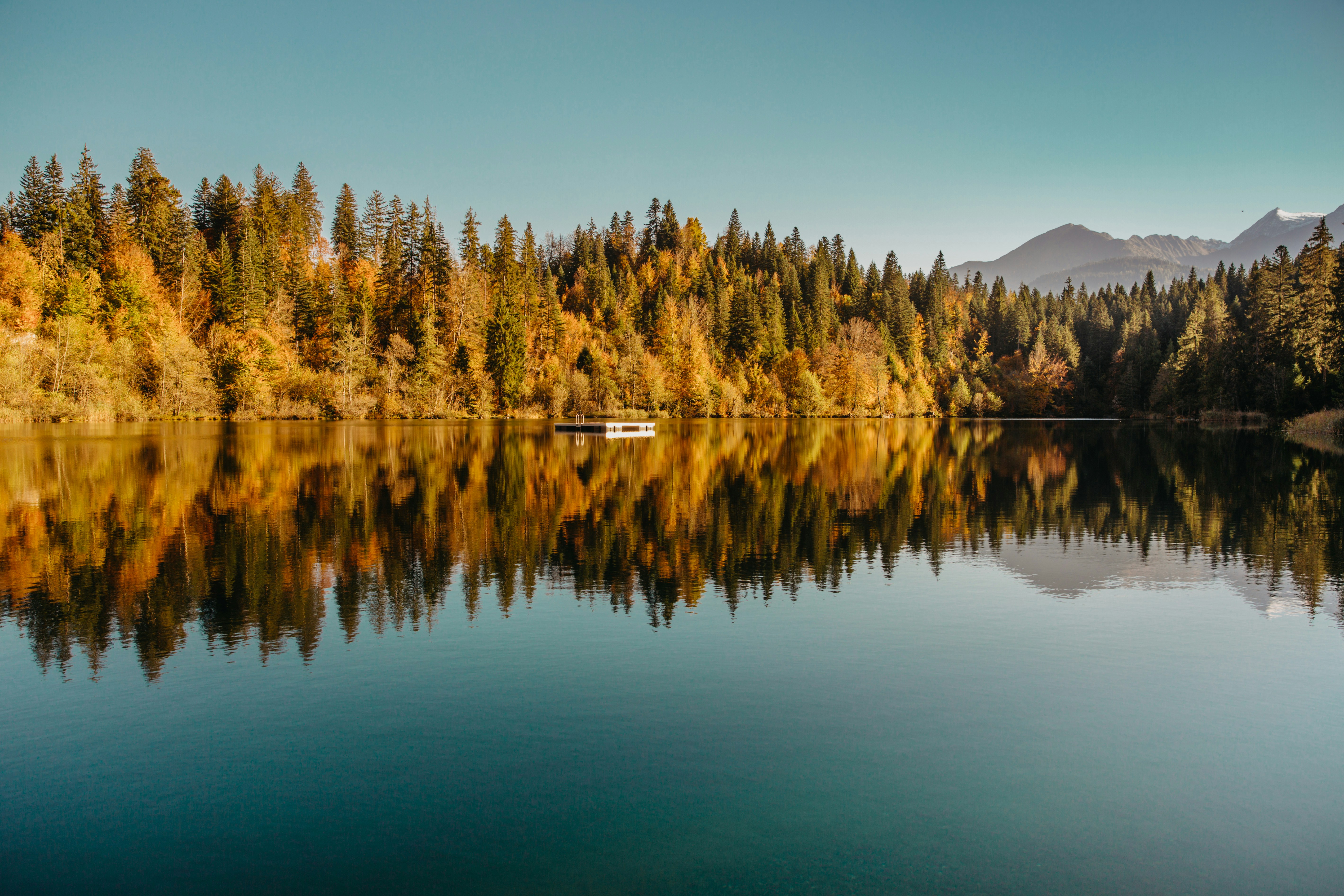 Photo by lighttouchedphotography