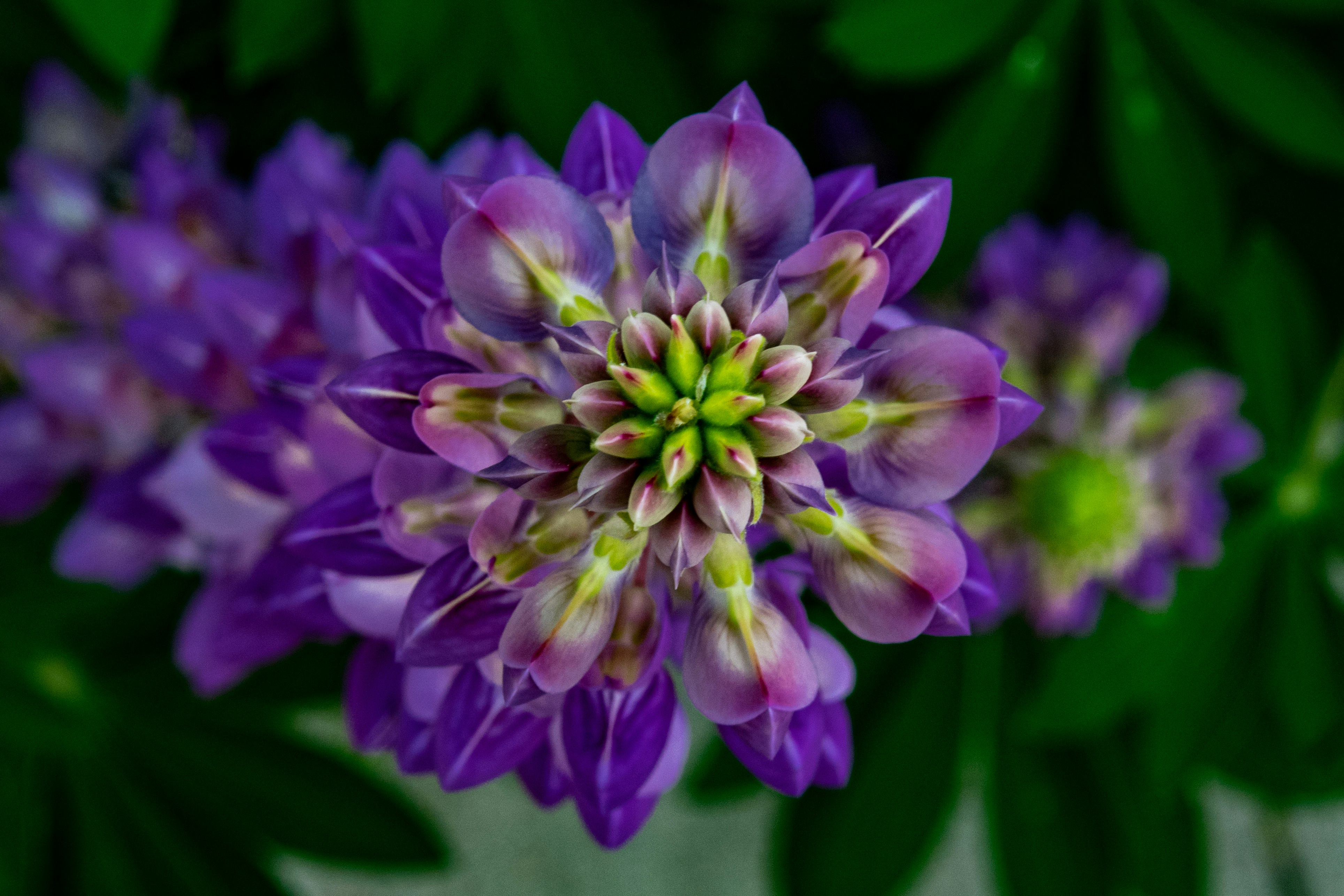Photo by d58davis