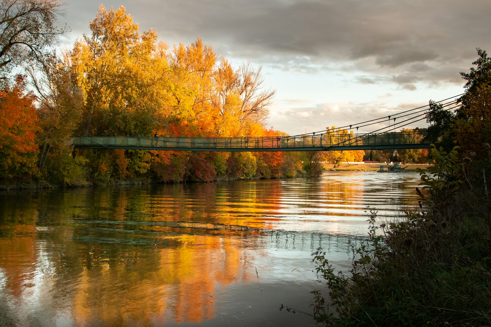 a bridge over a body of water surrounded by trees