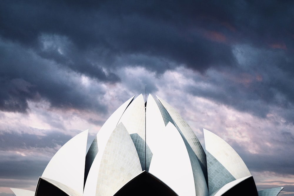 a large white flower sitting in front of a cloudy sky