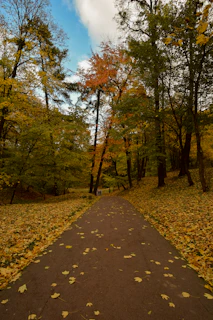 A peaceful urban park pathway lined with autumn leaves, inviting a calm stroll.