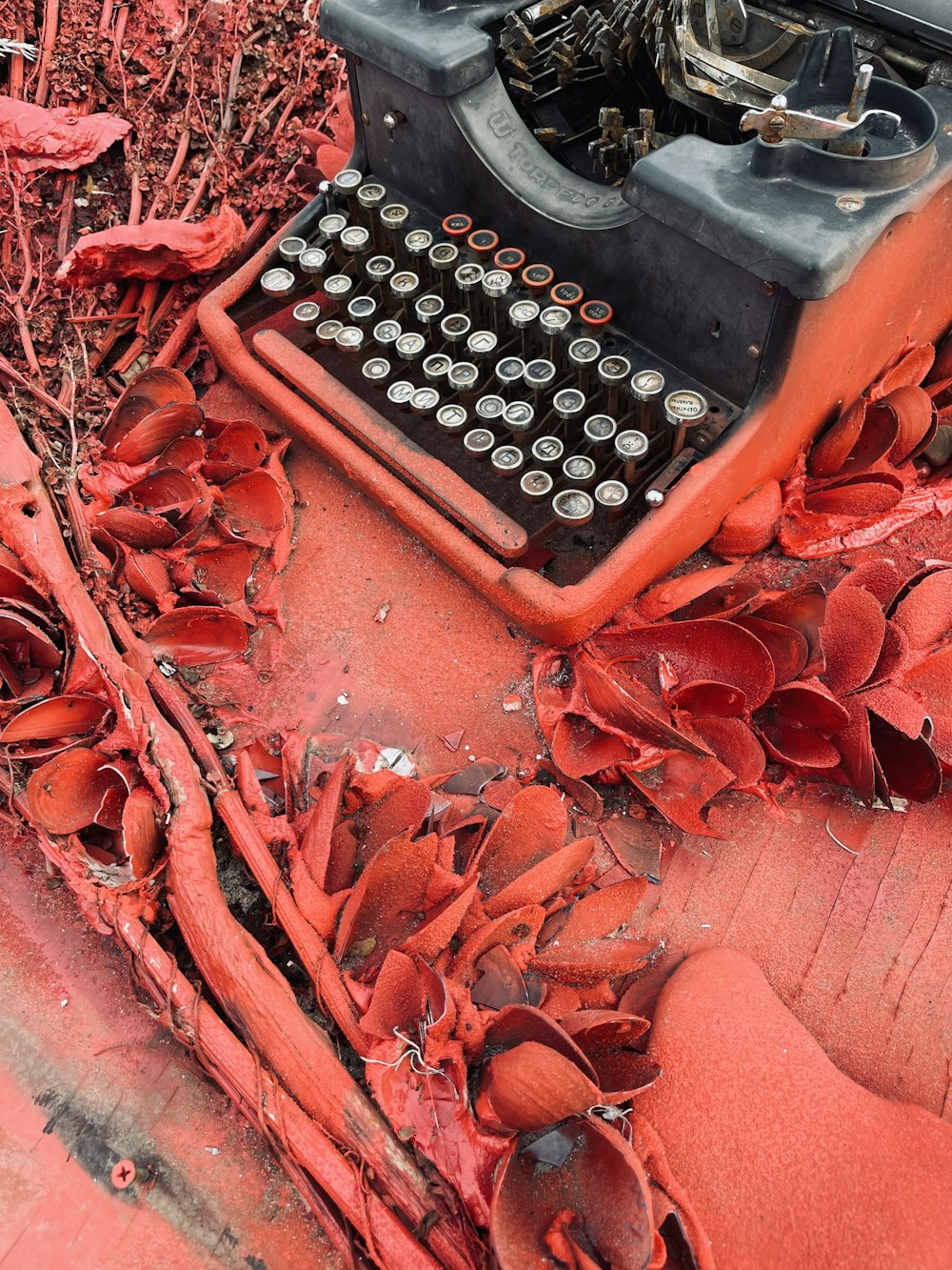 an old typewriter sitting on the ground next to a bush