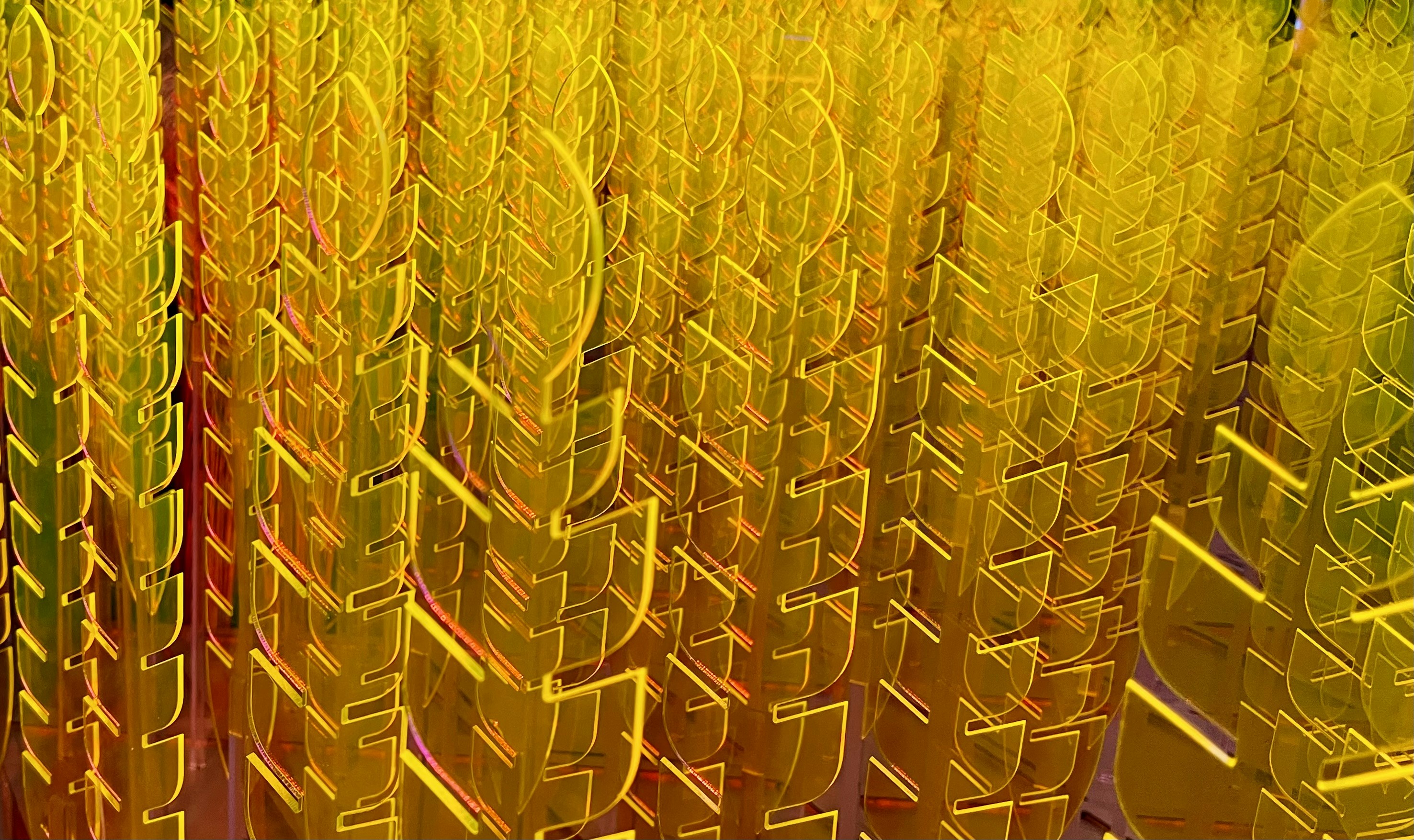 a group of yellow plastic chairs sitting next to each other