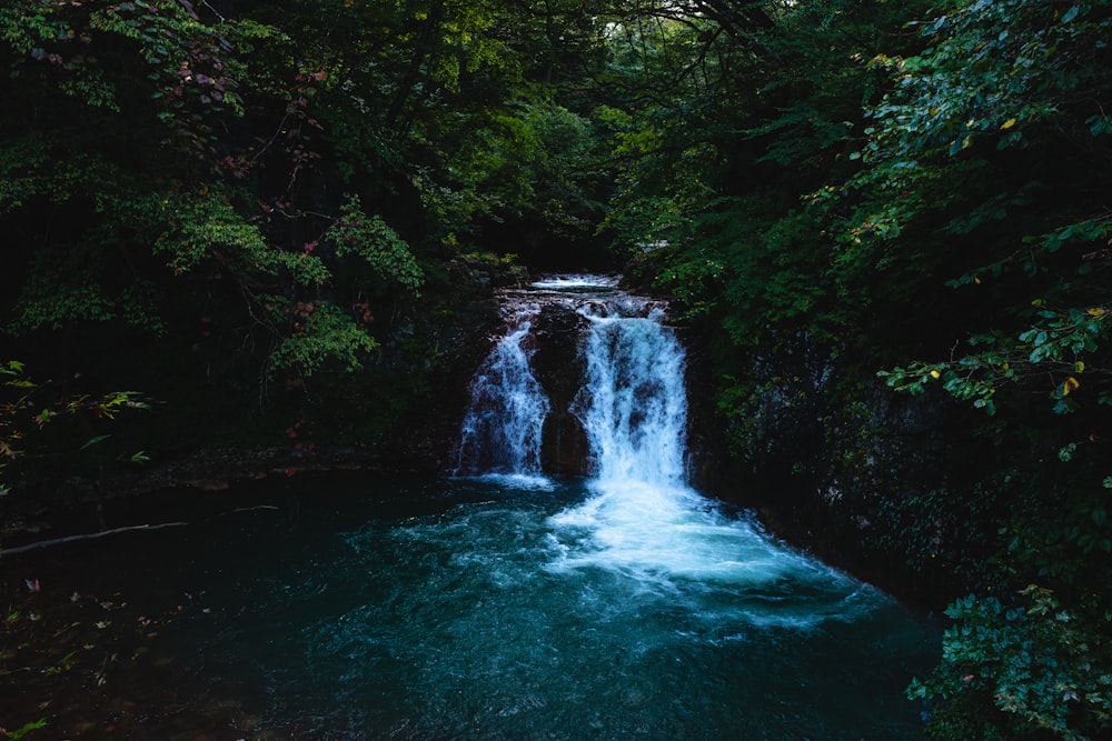 a small waterfall in the middle of a forest