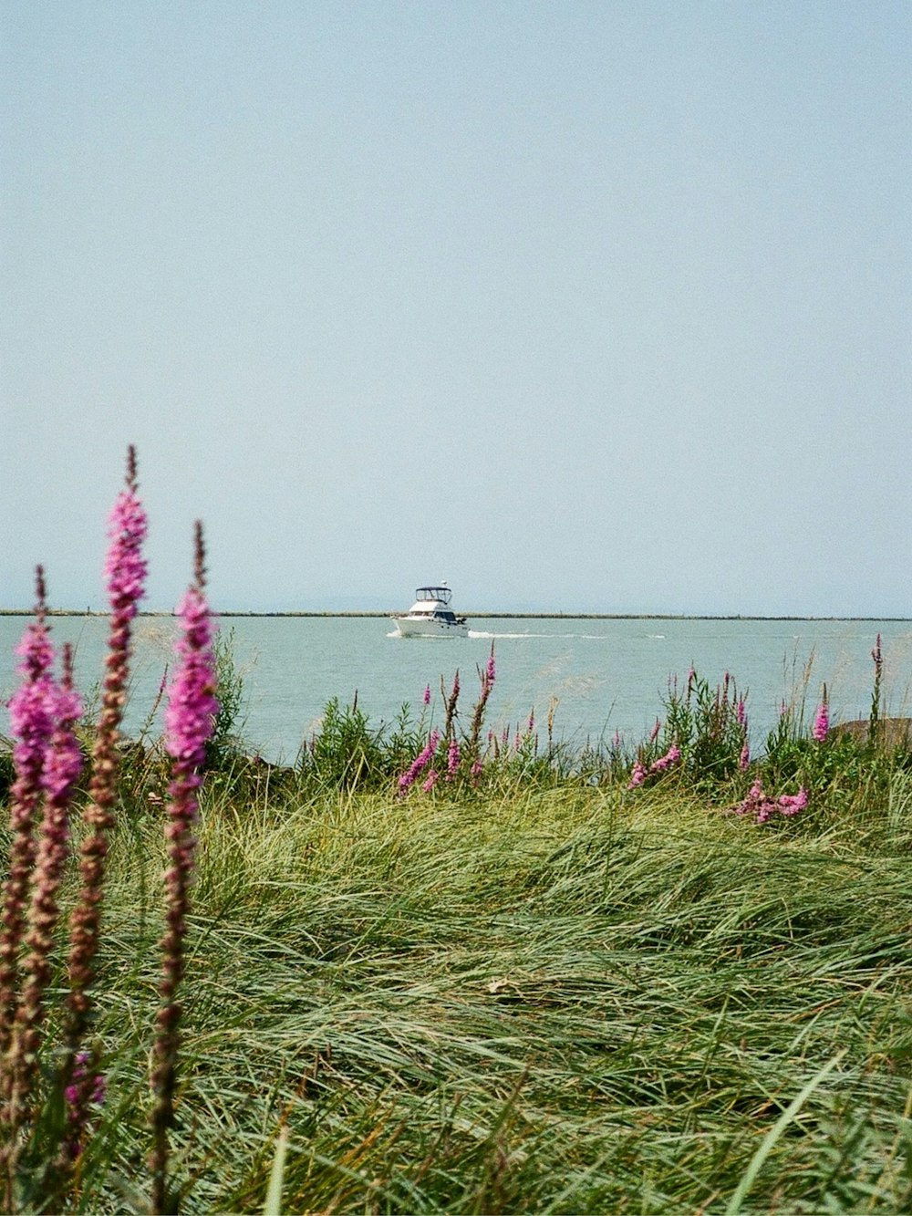 a boat is out in the water on a sunny day