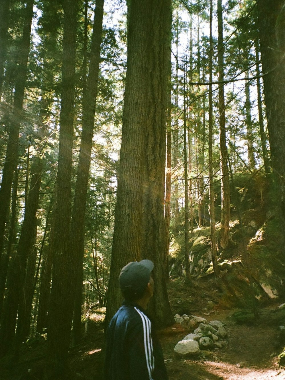 a man standing in the middle of a forest