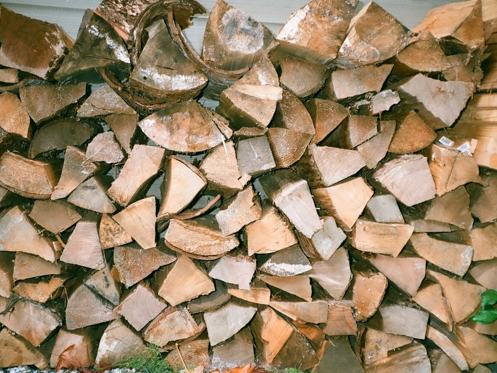 a pile of wood sitting on top of a pile of logs