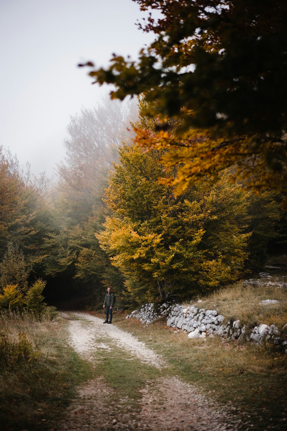 a person riding a bike down a dirt road