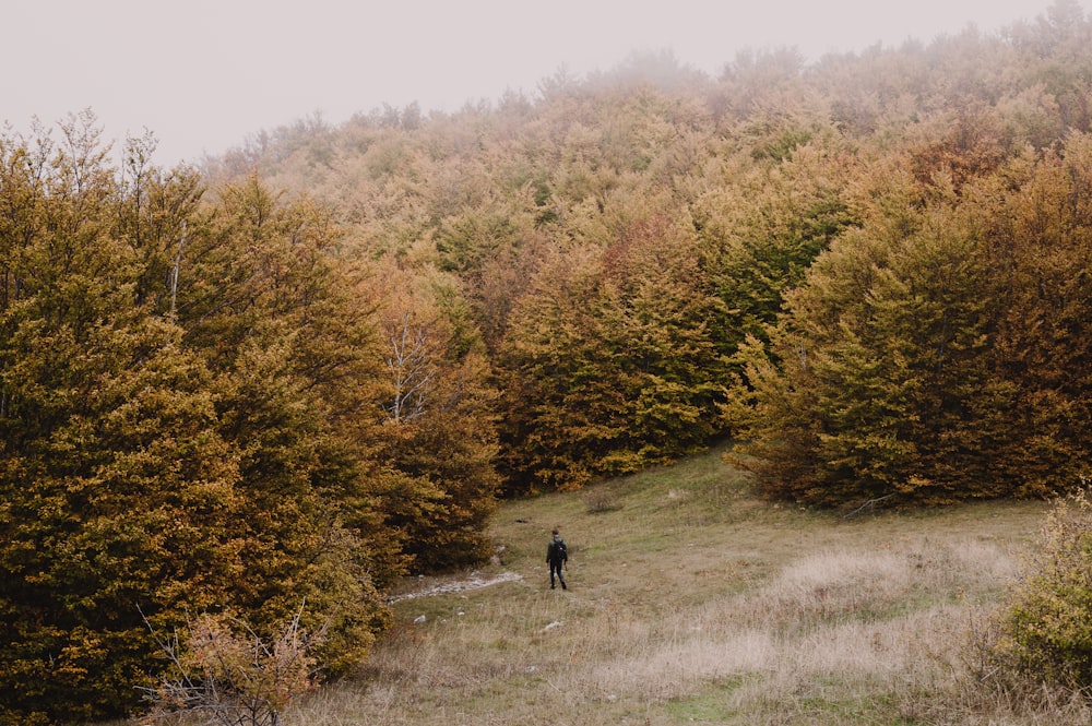 a person standing in a field surrounded by trees