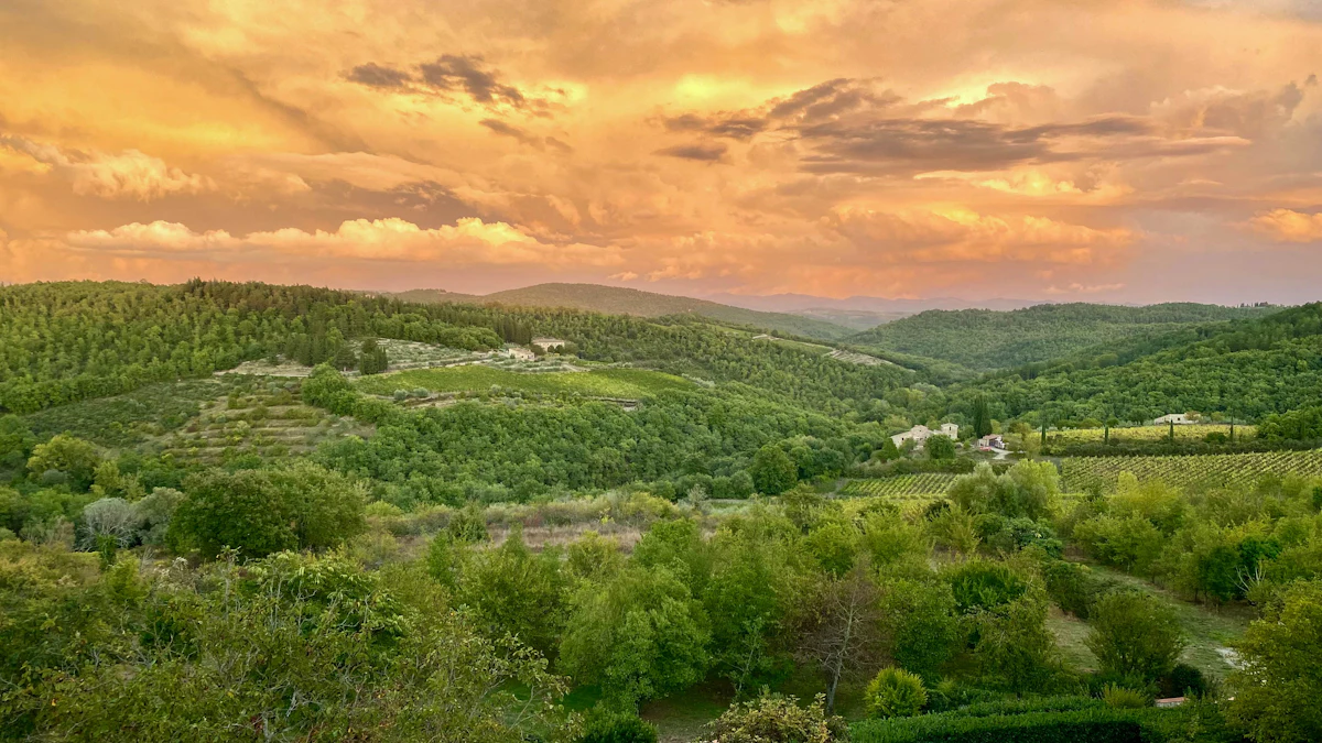 Wooded hills and scattered farmhouses under an orange sky near Castellina in Chianti