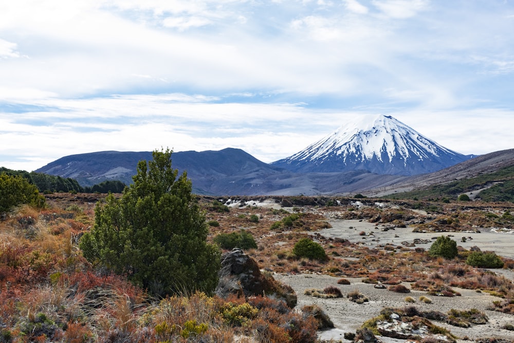 a mountain with a snow capped peak in the distance