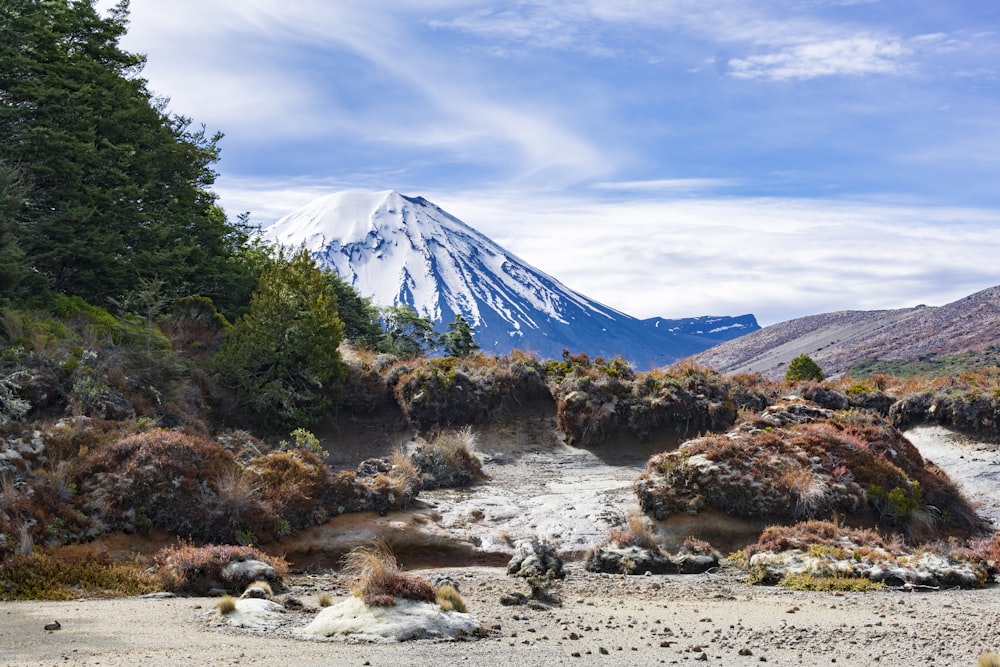 a mountain with a snow capped peak in the distance